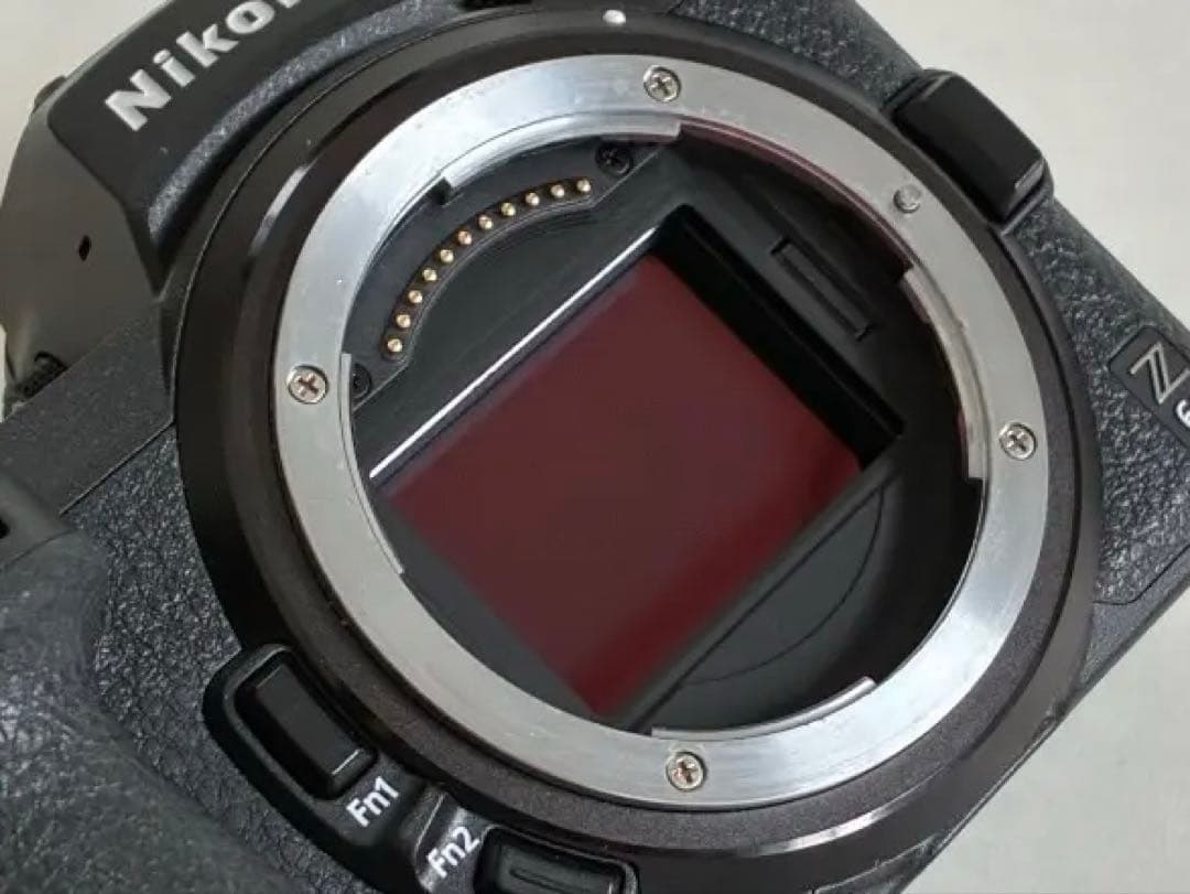 Nikon Z 6 Ⅱ ＋ ftz Ⅱ