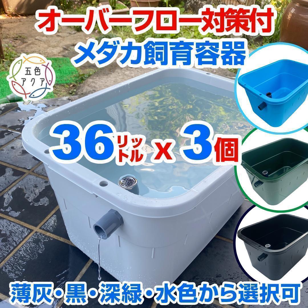 メダカ飼育ケース 36㍑x3個（4色あり）オーバーフロー付 金魚飼育容器 越冬