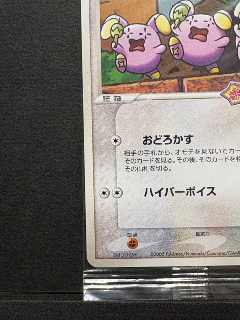 ポケモンカード　ポケパークのゴニョゴニョ　未開封　プロモ