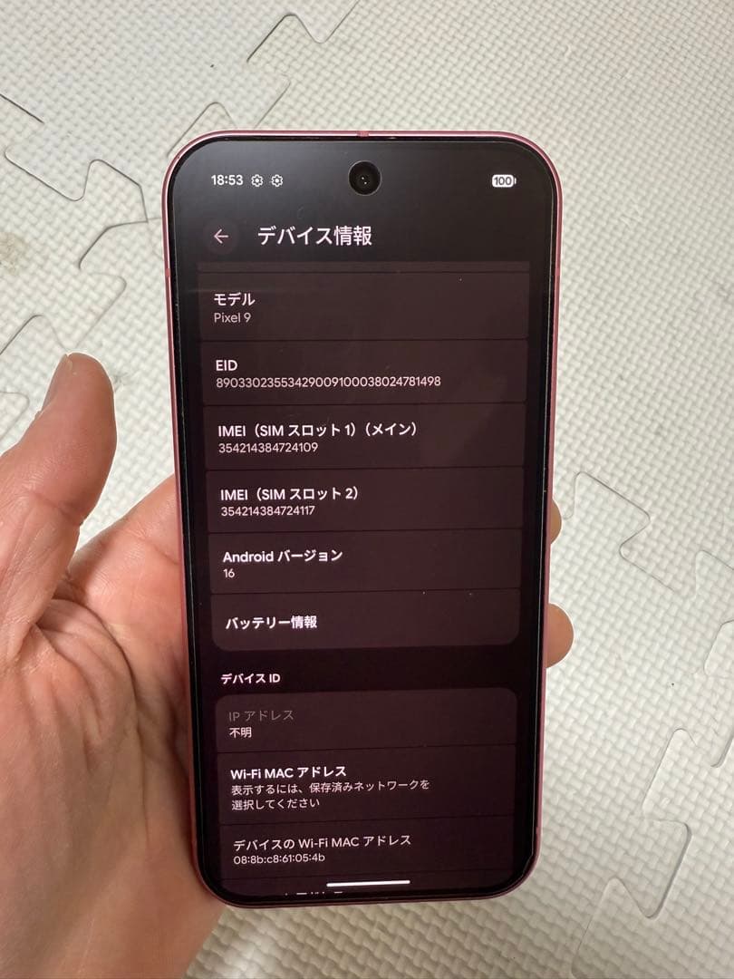 Google Pixel 9 128gb ケース付き simフリー