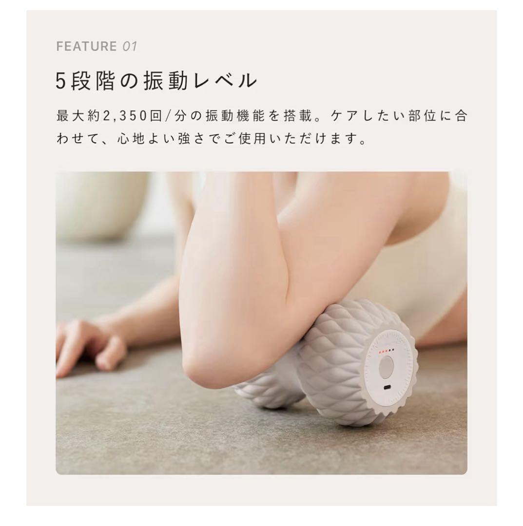 SIXPAD Power Roller Twins シックスパッド