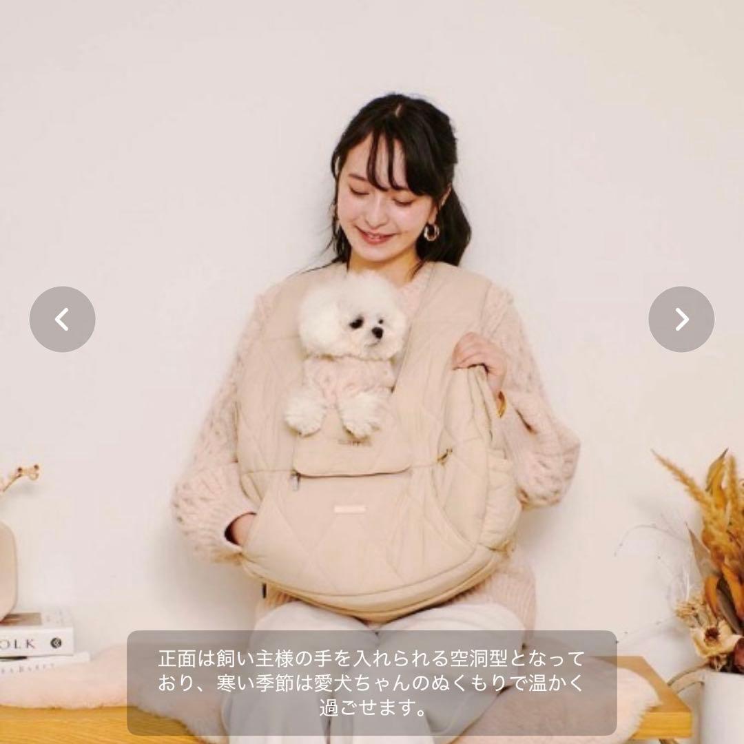【新品】moncheri モンシェリ　キャリーバッグ　前抱っこリュック グレー