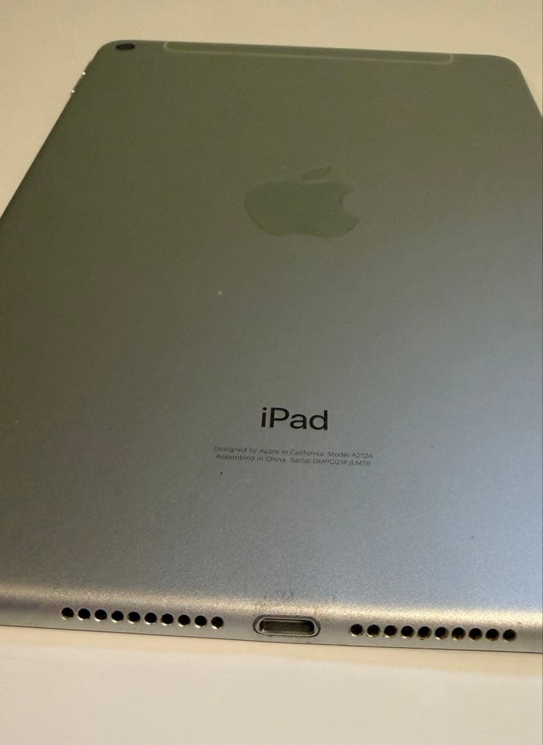 iPad本体 iPad mini 5