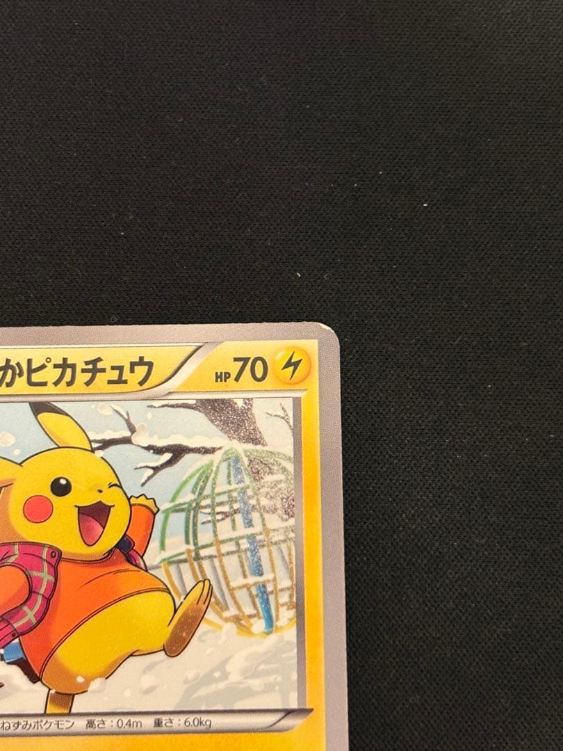は*ん様 あったかピカチュウ PROMO XYシリーズプロモーションカード PR