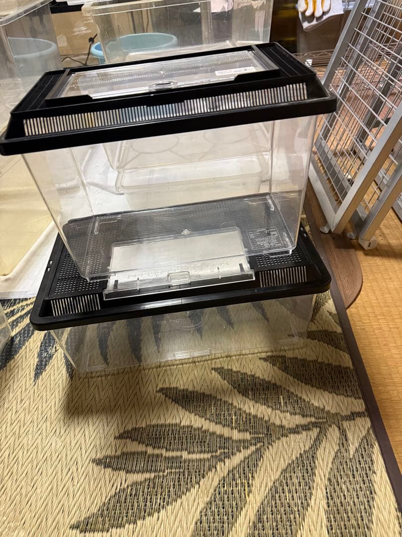透明プラスチック昆虫飼育ケースセット