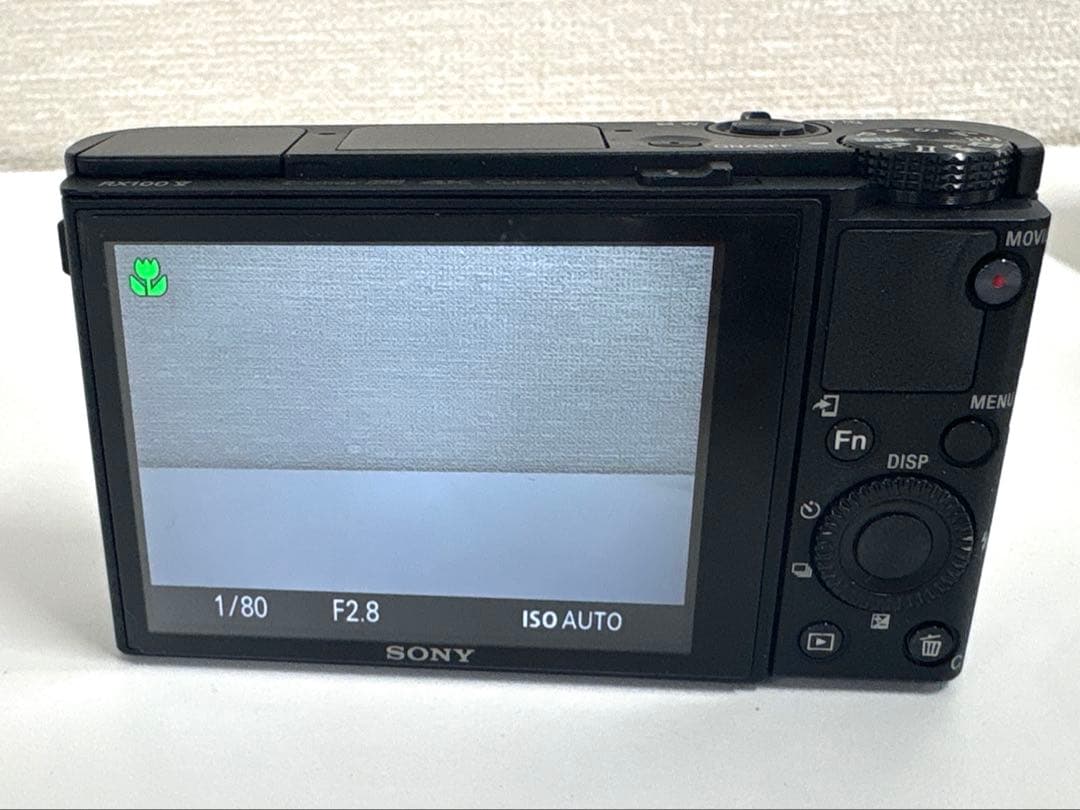 美品★SONY RX100V(DSC-RX100M5) サイバーショット