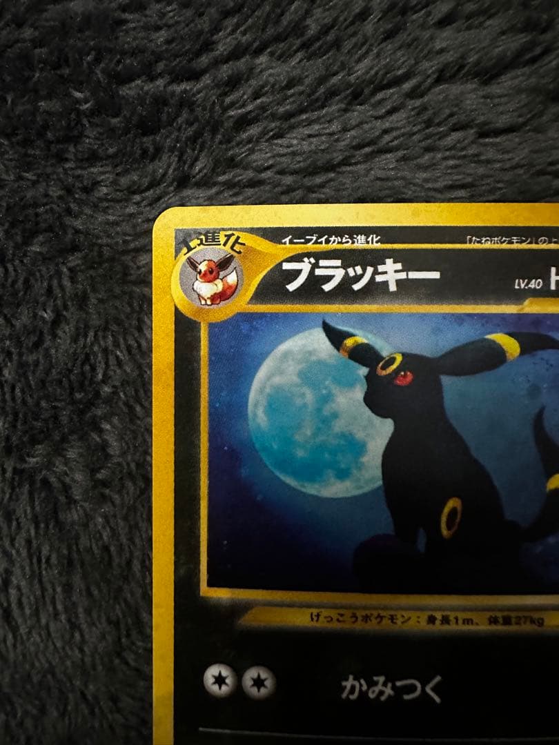 極美品　ブラッキー ★ 拡張パック第2弾 遺跡をこえて…