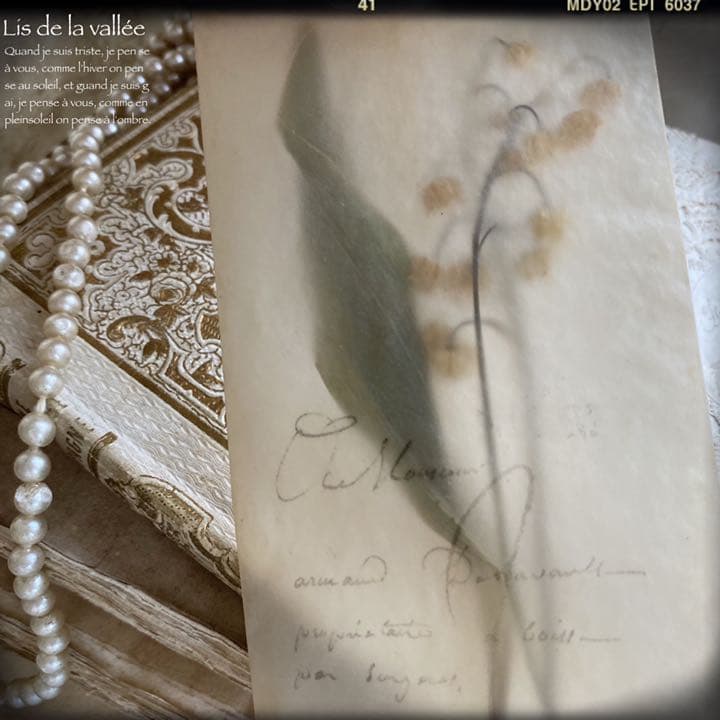 【再販】Lis de la vallée.。.:♡* すずらん ドライフラワー