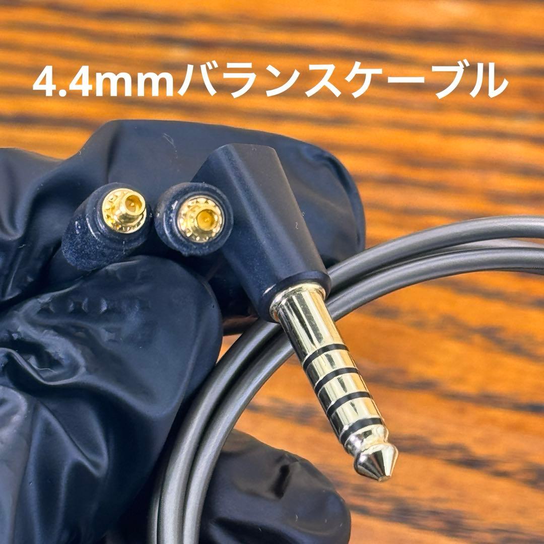 Sennheiser IE 600 ハイエンド 有線イヤホン 正規品*美品