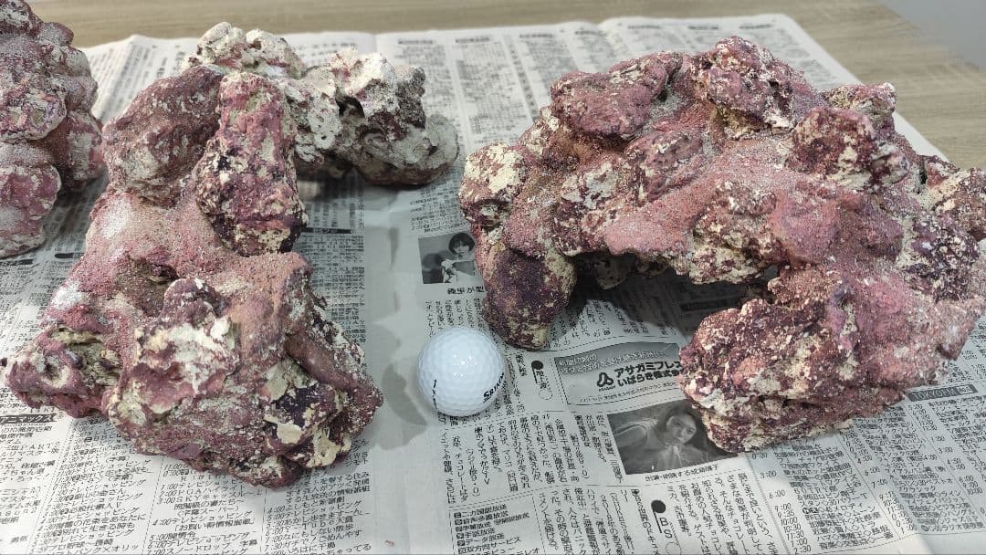 ☆ライブロックレプリカ☆人工ライブロック☆約13～14kg☆