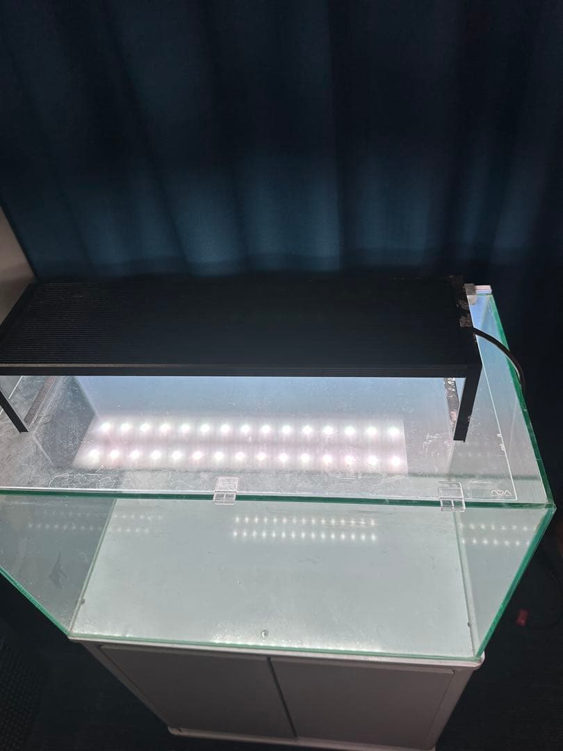 【引き取り限定】　60センチ　ガラス　水槽　　セット