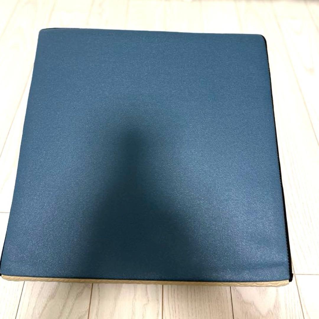 フレックスクッション (FLEX CUSHION) ベージュ