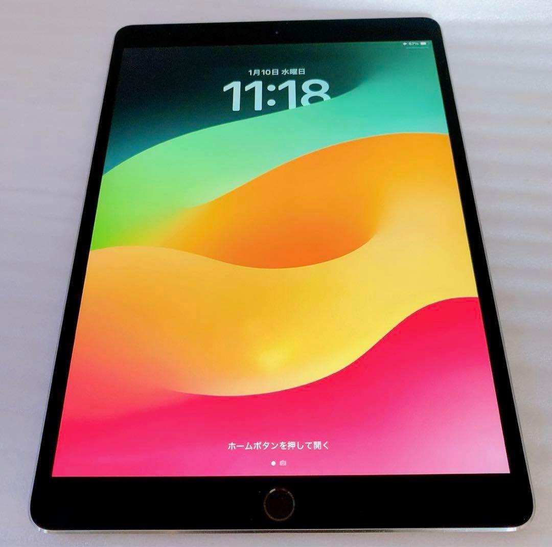 【最安値】iPadPro2【10.5インチ】wifiとアップルペンシル