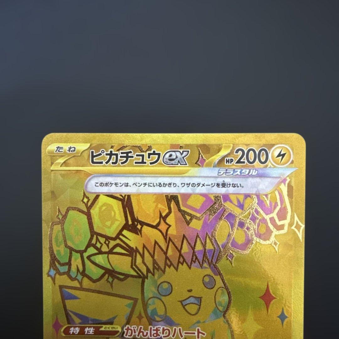ピカチュウEX & デッツノイサハEX セット