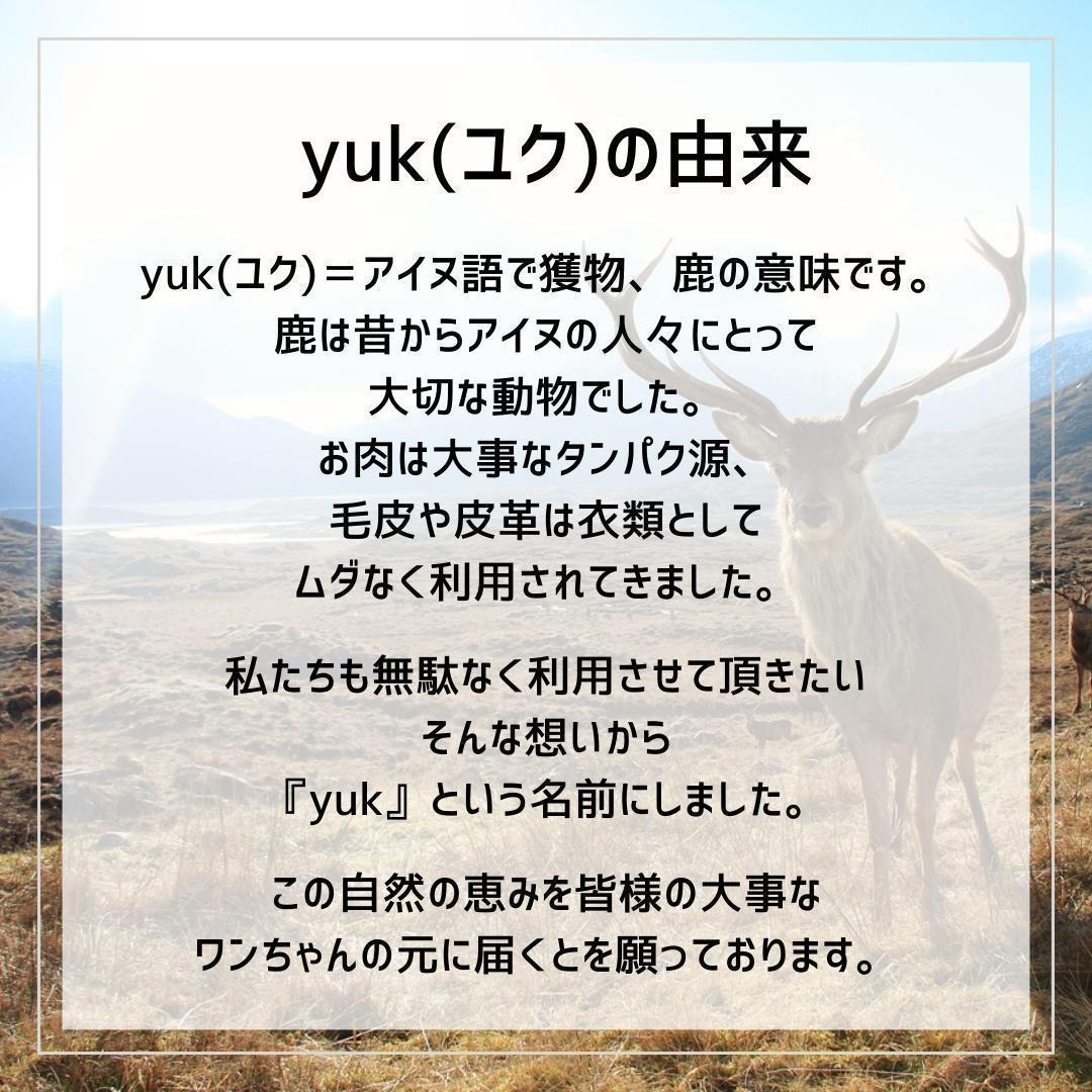 【遊び比べセット】　大型犬用　四つ割り＆半割り＆一本物　犬のおもちゃ　鹿の角