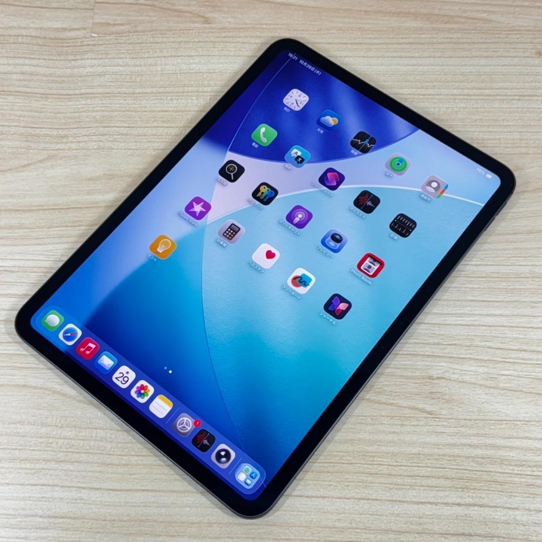 P34 超美品 iPad Pro M4 11インチ 256GB おまけ付き