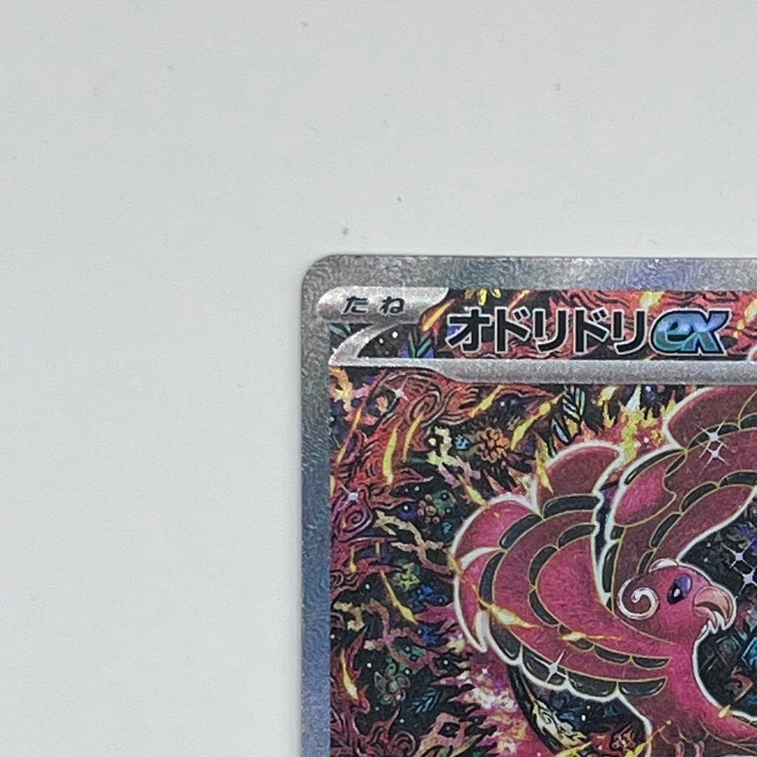 オドリドリex SAR / ポケカ　ポケモンカード