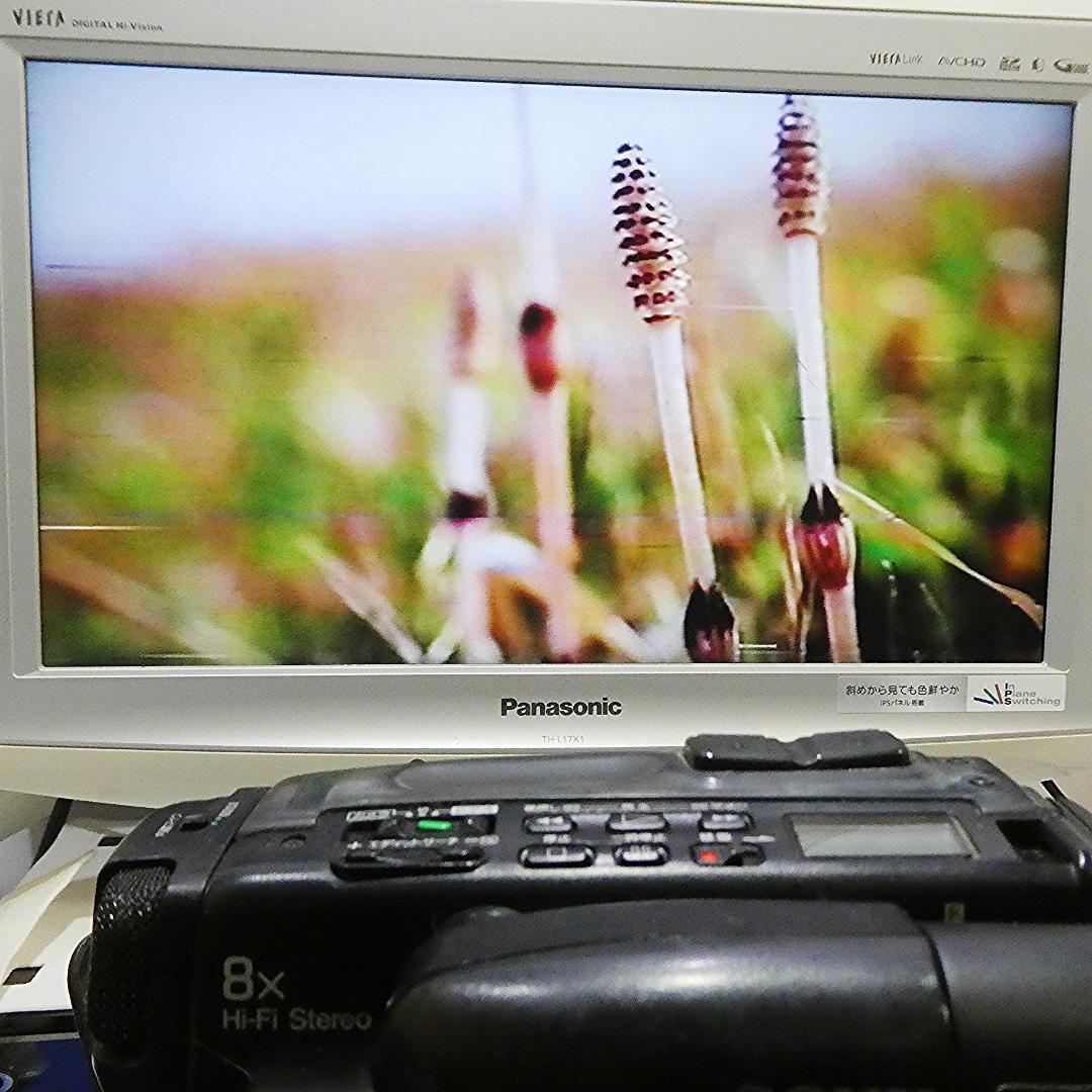 ソニーCCD-TR705 動作良好 VideoHi8ビデオカメラ　DVD化に最適