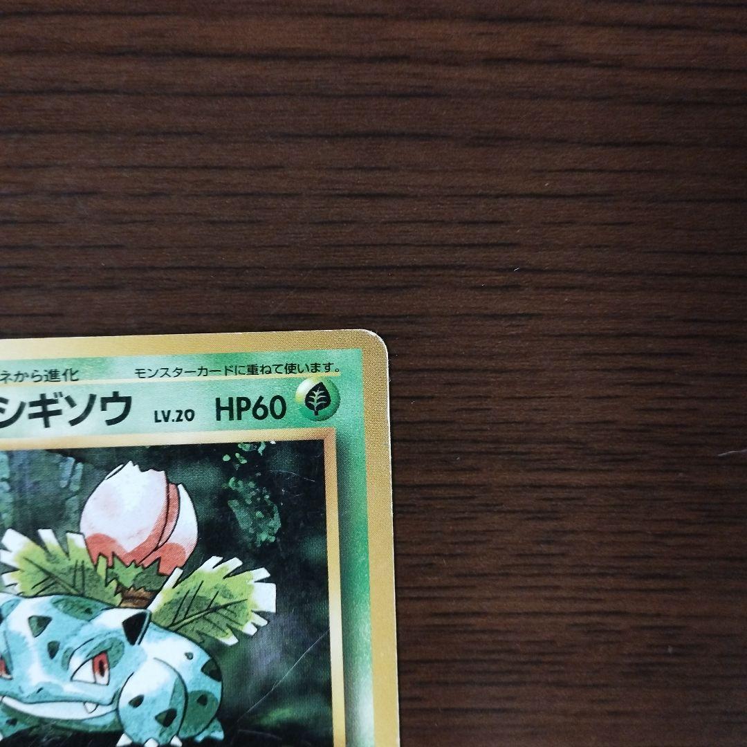 旧裏　ポケモンカード　マークなし　フシギソウ