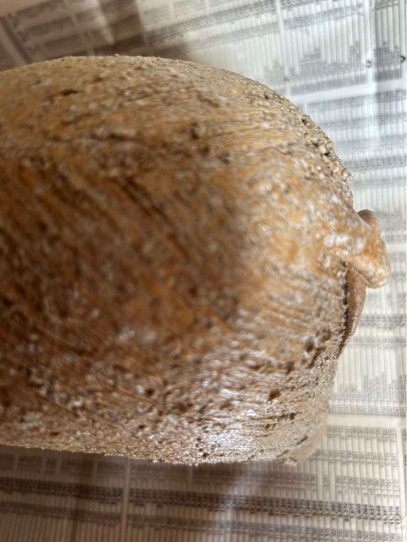 信楽焼 手作りブタ置物