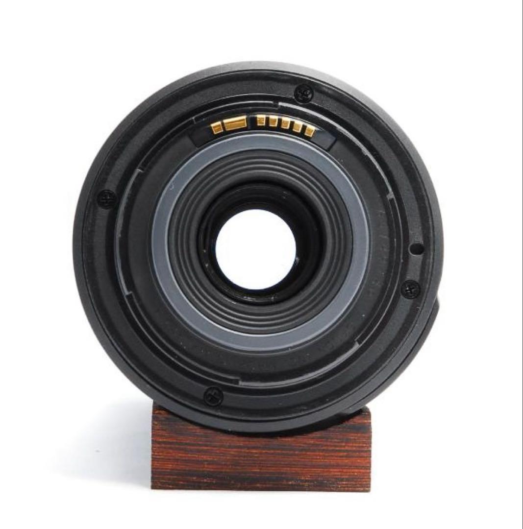 Canon EF-S 55-250mm IS 手振補正 望遠ズーム 入学 卒業式