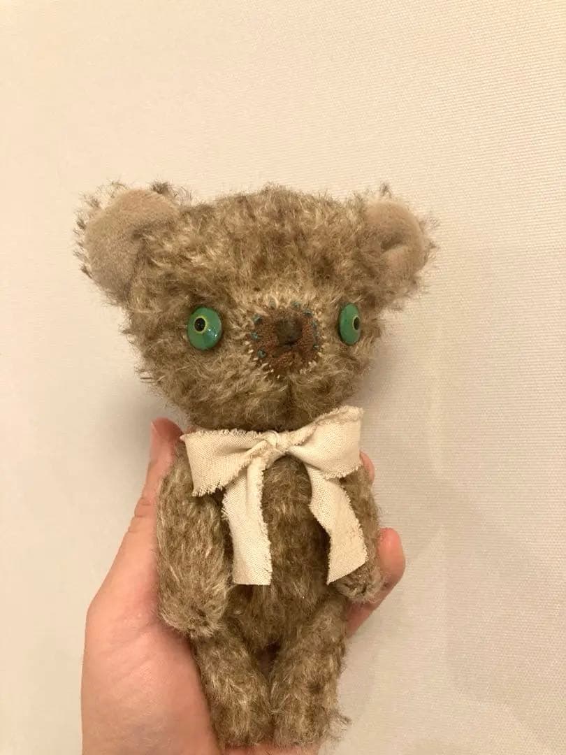 個性派テディベア