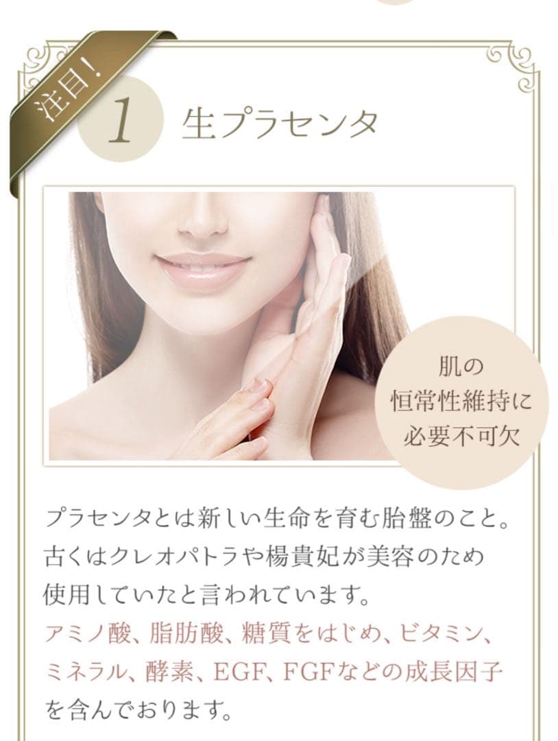 DMKスティック　人気　ワム　正規品　新品未使用