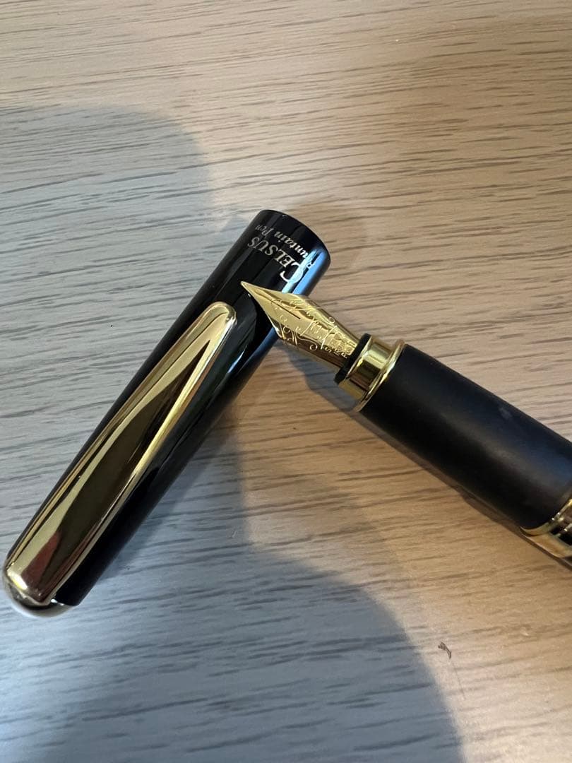 新品未使用　OHTO（オート）セルサス（CELSUS）万年筆セット