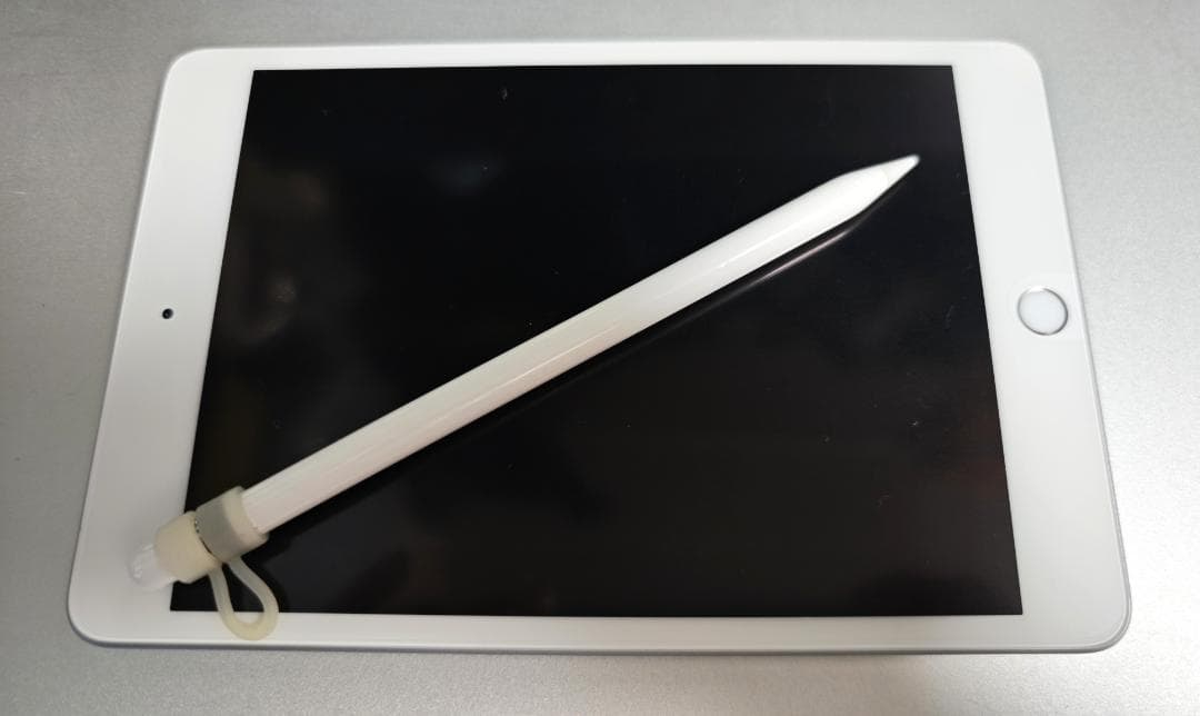【Wi-Fi+セルラー】iPad mini第5世代 256GB ペン付き 99%