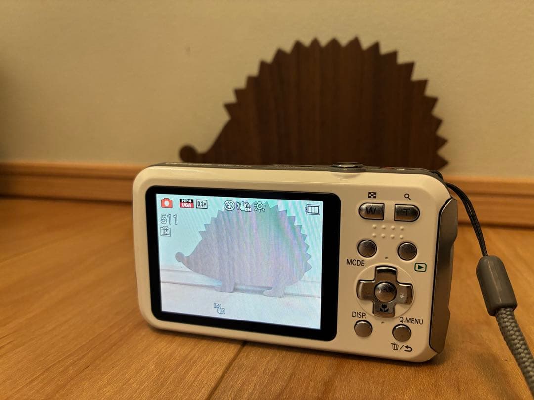 【LUMIX DMC-FT25】(デジタルカメラ充電器付き)動作OK箱付属品あり