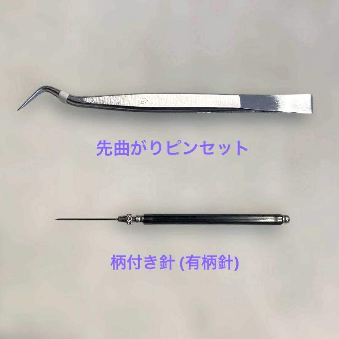 昆虫標本作製セット