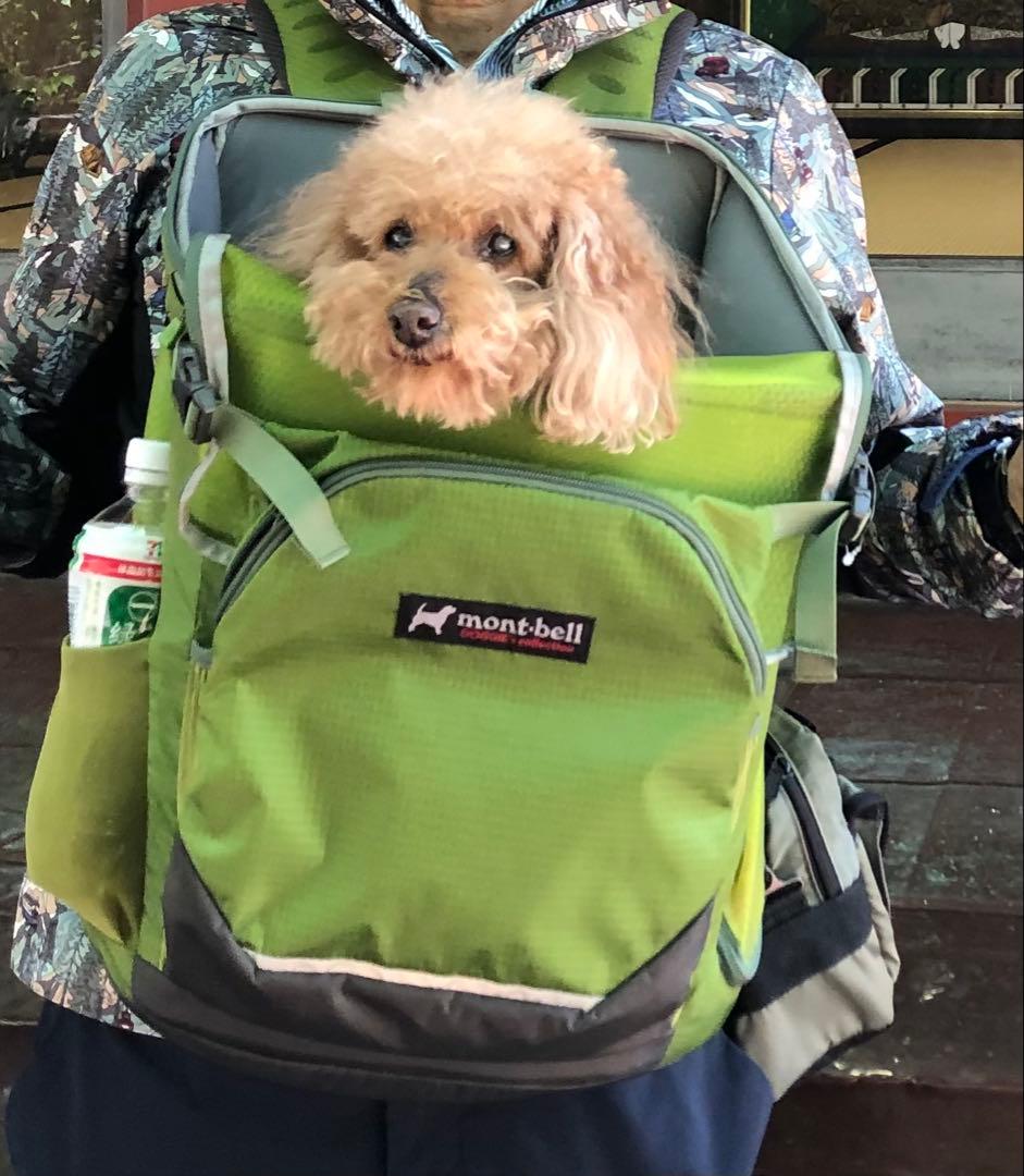 モンベル犬リュック