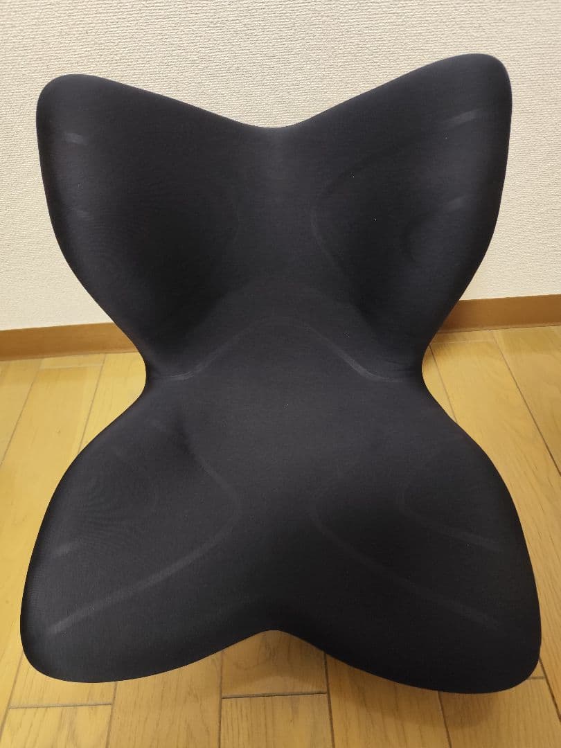 Style PREMIUM Series MTG 骨盤サポートチェア