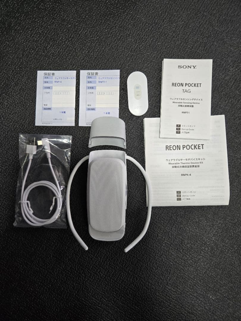 SONY REON POCKET 4 ホワイト