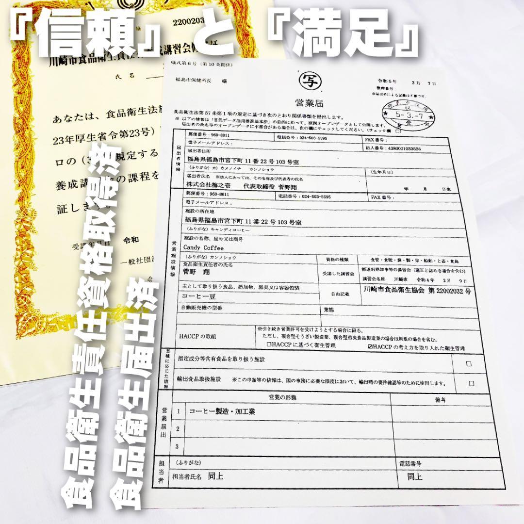 ブルーマウンテンブレンド 特大容量 焙煎仕立て ブレンド コーヒー豆