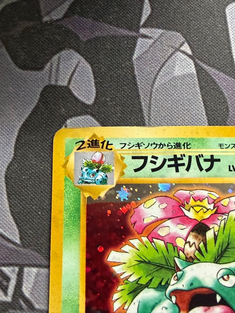 ポケモンカード　とりかえっこプリーズ　フシギバナ　カメックス　旧裏