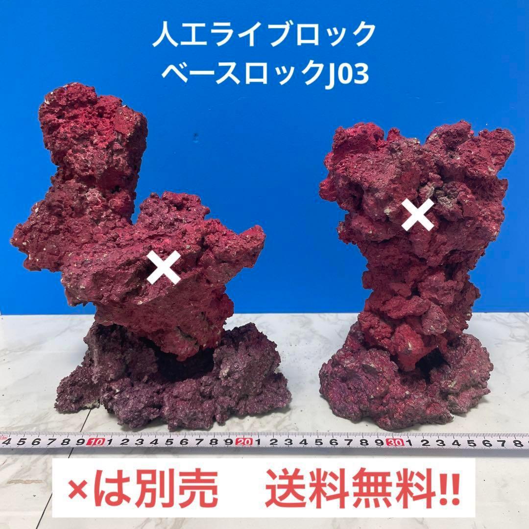 人工ライブロック大袋①