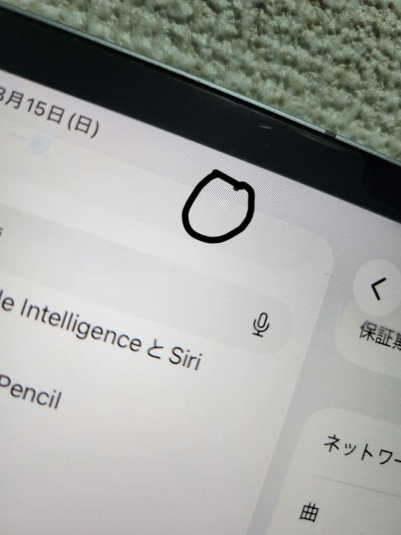 IpadPro 2022 M2 4世代 11 2TB Wi-FiCellular