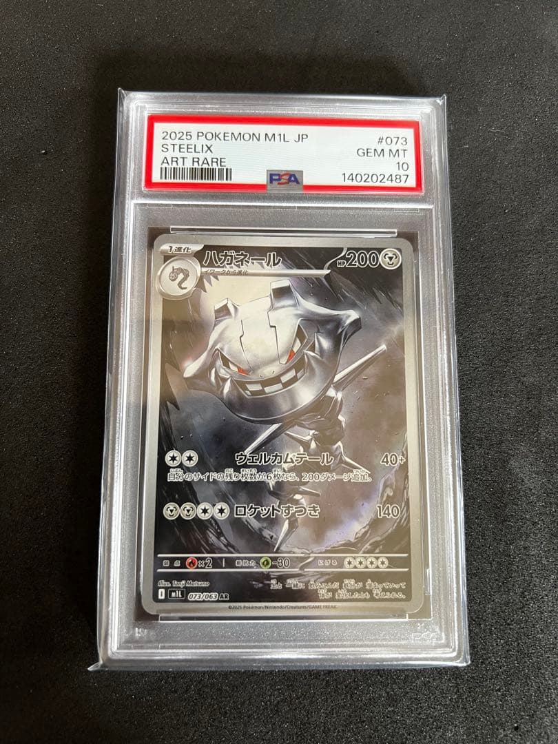 ハガネール AR PSA10