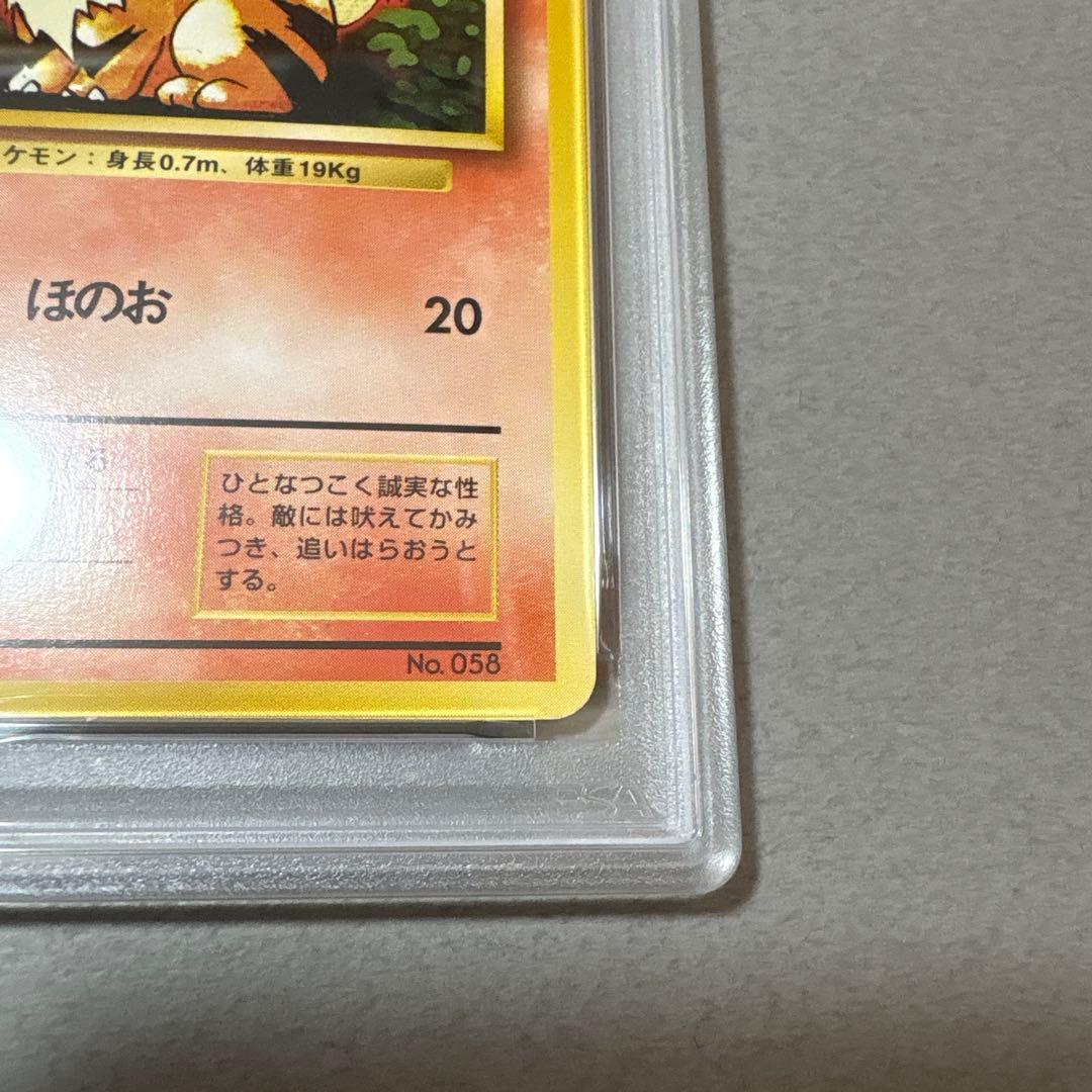 ポケモンカード　PSA8　旧裏　マークなし　初版　ガーディ　058