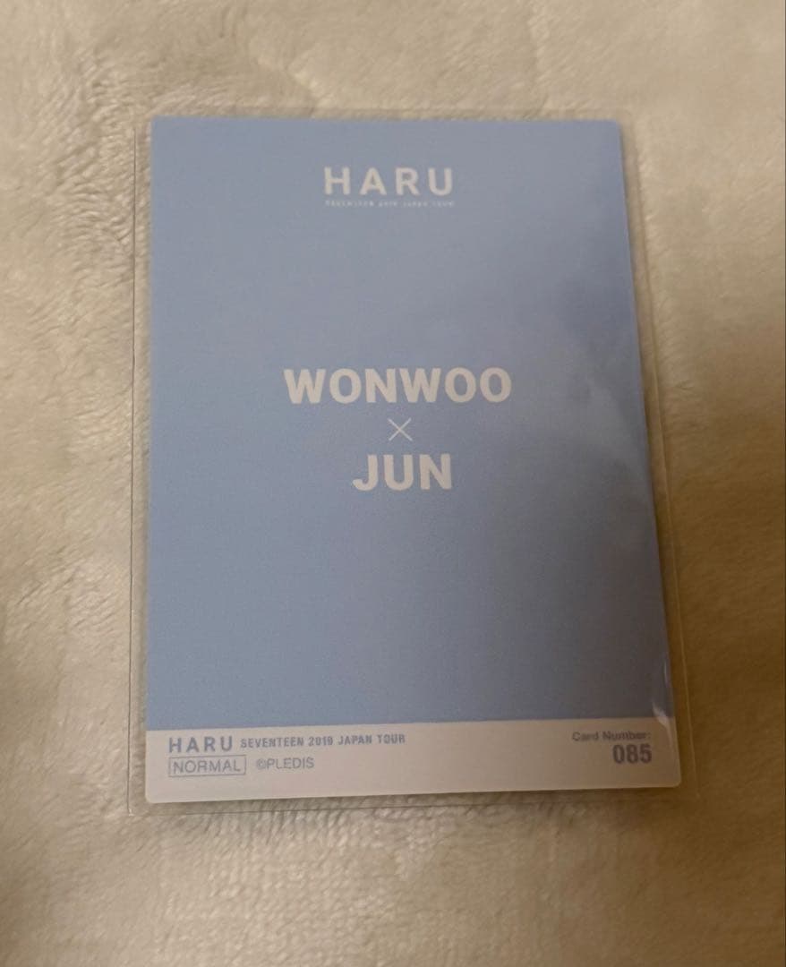 SEVENTEEN HARU ジュン ウォヌ　JUN WONWOO ペアトレカ