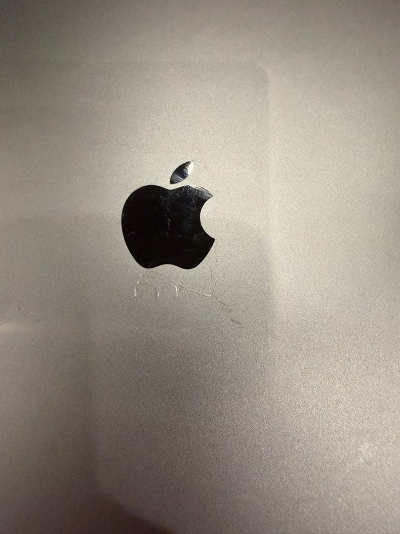 iPad 第9世代256GB Wi-Fi + Cellular