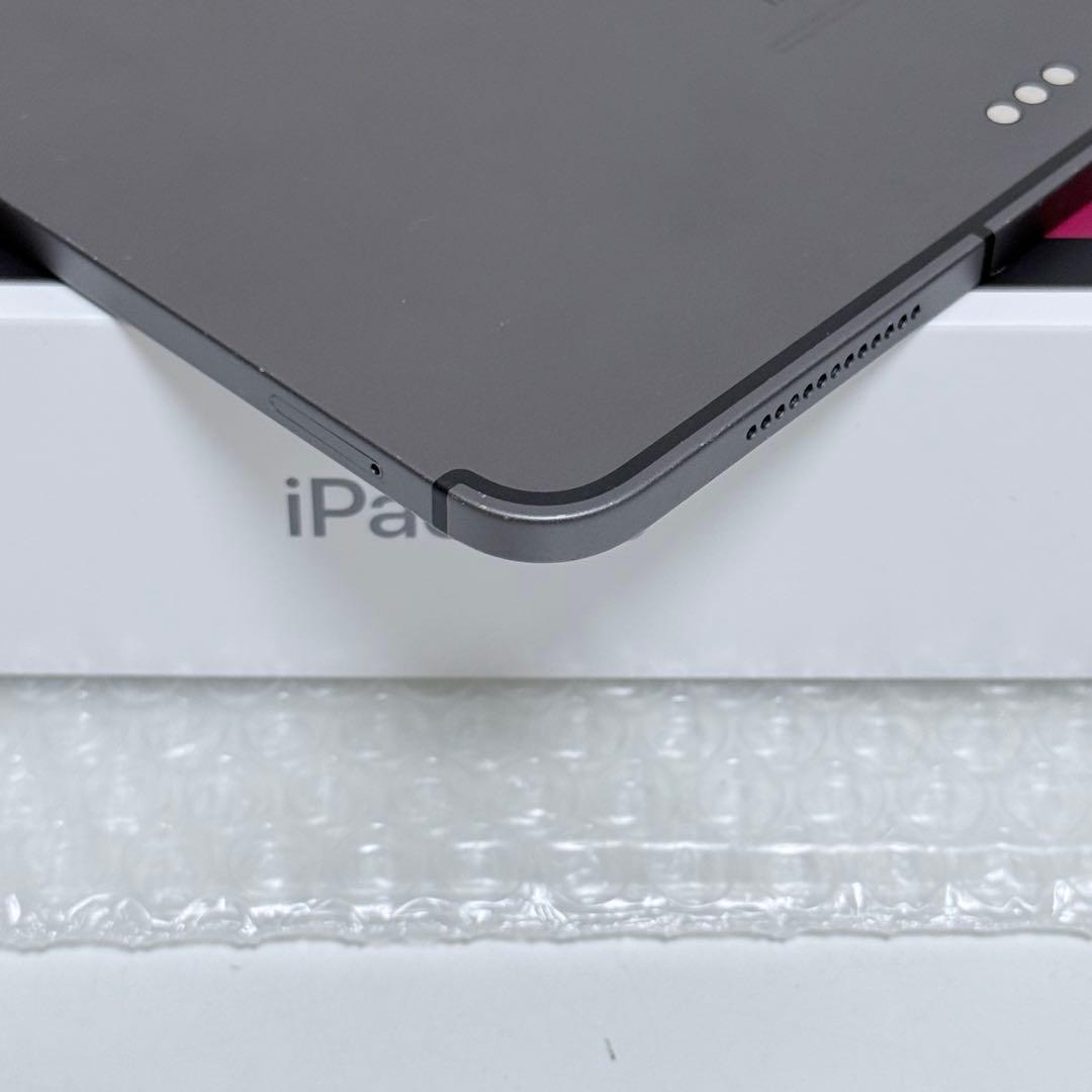 iPad pro 11インチ 第2世代　128GB Cellularモデル