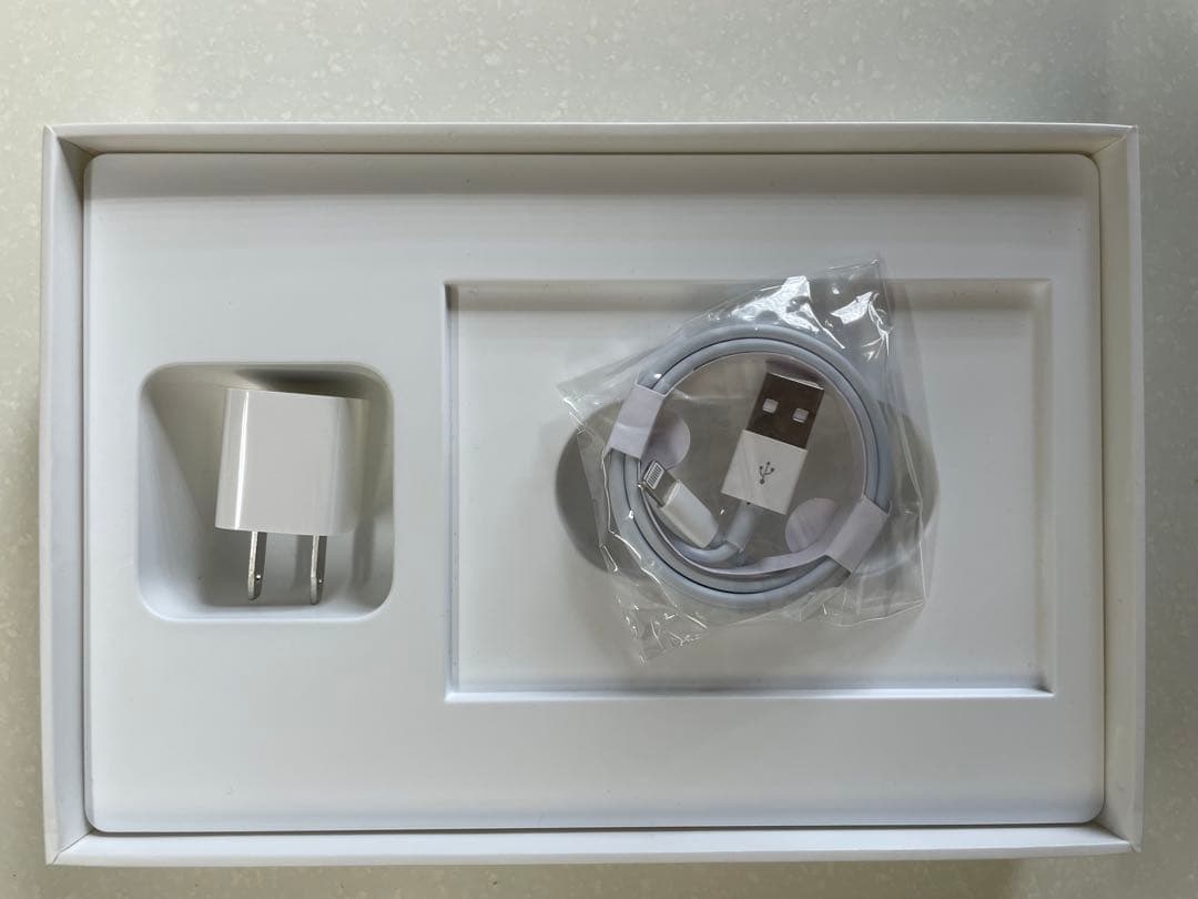 Apple iPad mini 4 16G cellularゴールド