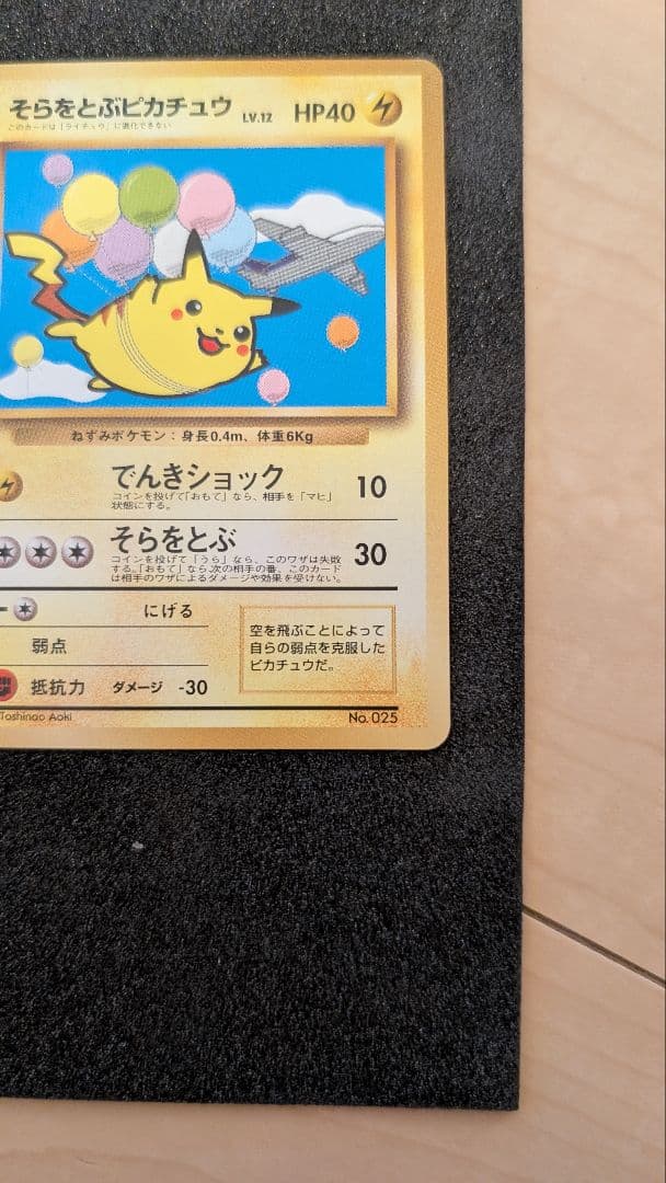 そらをとぶピカチュウ_ANA 「ジェットでゲットだ！Wチャンスキャンペーン」 …