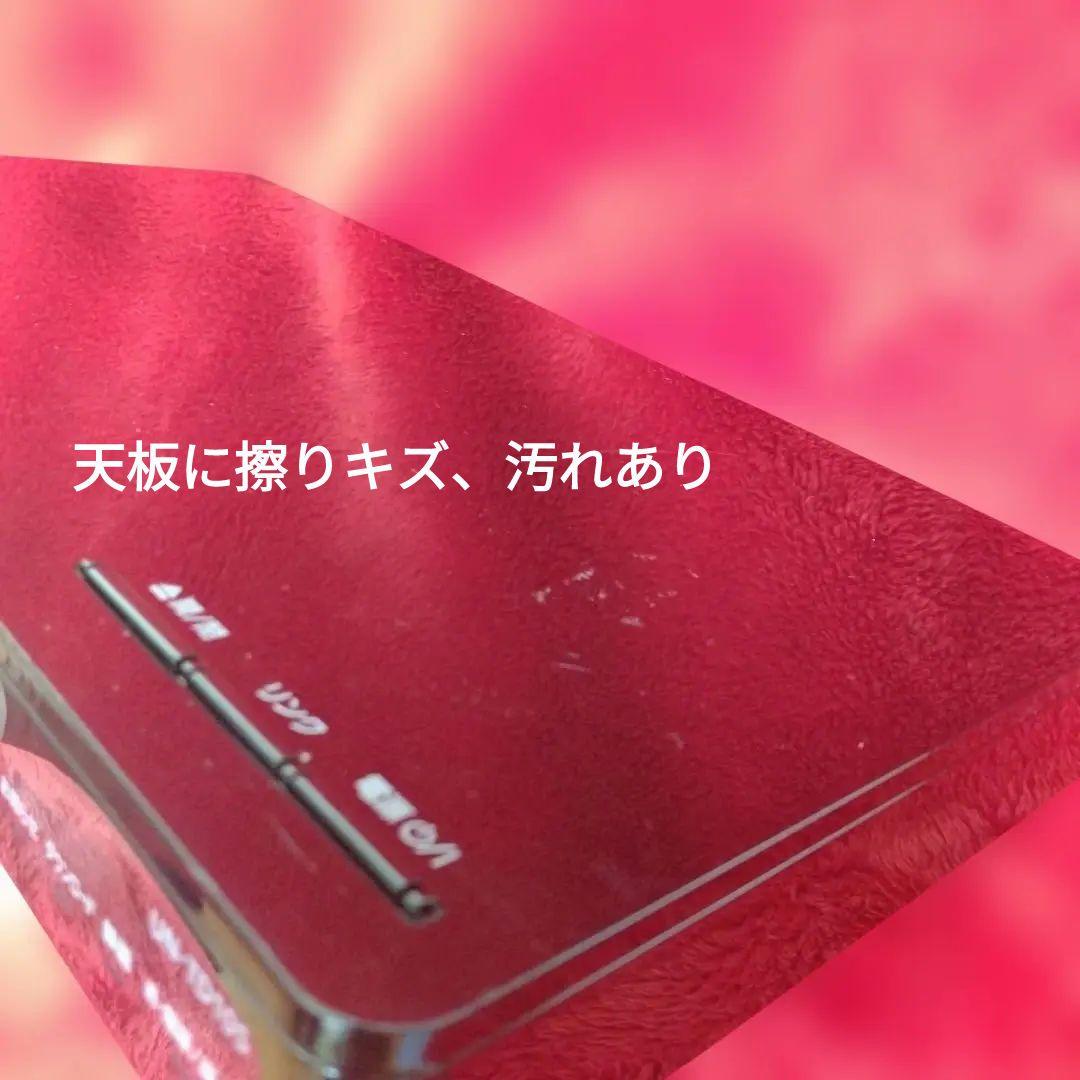 値下げ依頼受付中！Panasonic プライベートビエラ15インチYouTube