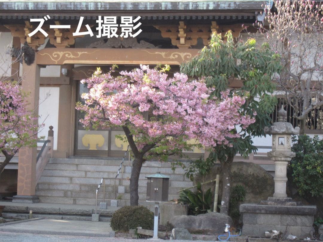 実写美⭕️訳あり【動作確認済み】Canon IXY DIGITAL 920 IS