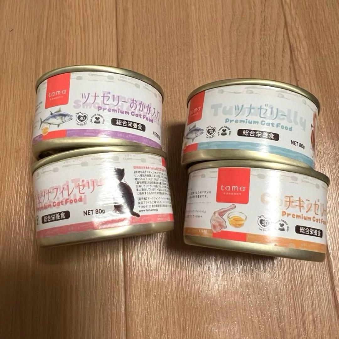 猫壱食器2個とキャットフードまとめセット【子猫&成猫】Nutroワイルドレシピ等