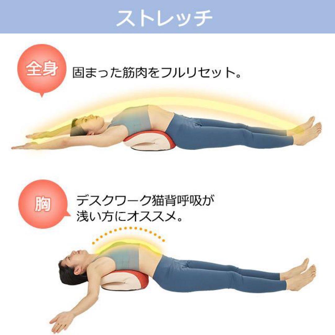 【未使用】フィットネスクラブがつくった バウンドクッション Twin (ツイン)