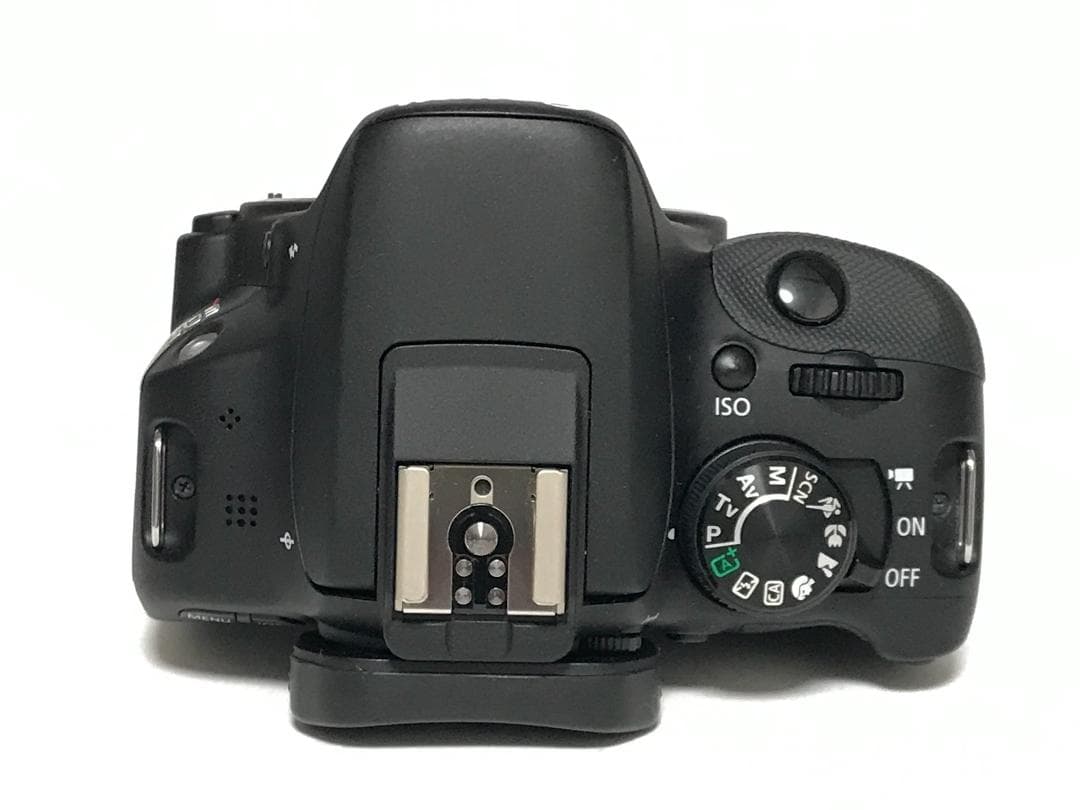Canon EOS Kiss X7 & 55-250mm IS II　#9438